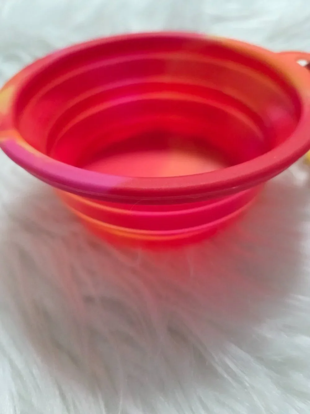Sun Squad Collapsible Pet Bowl
